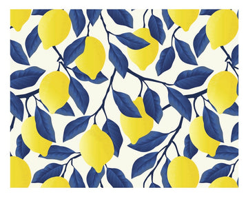 IRECV-LIM TEJIDO DE VINIL RECTANGULAR Limones