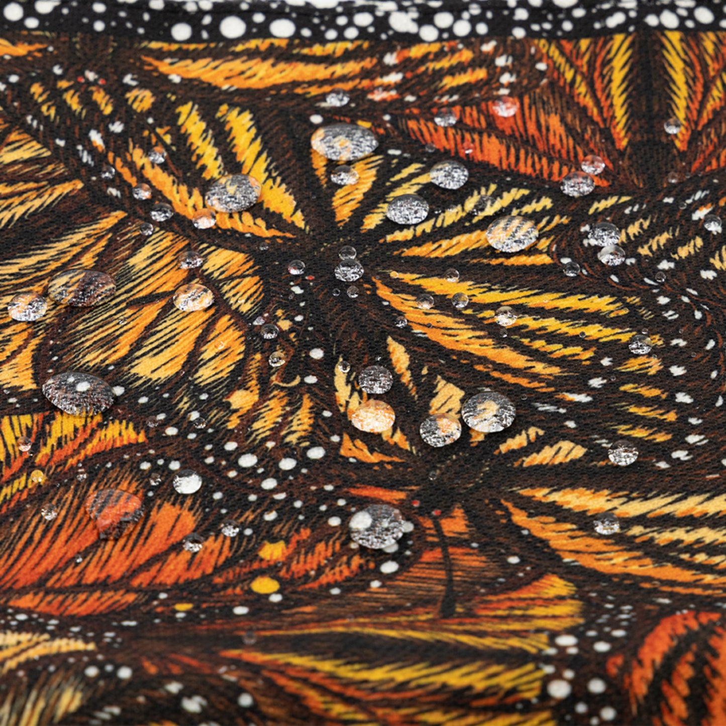 CM-MARMON: Camino de mesa Mariposa monarca